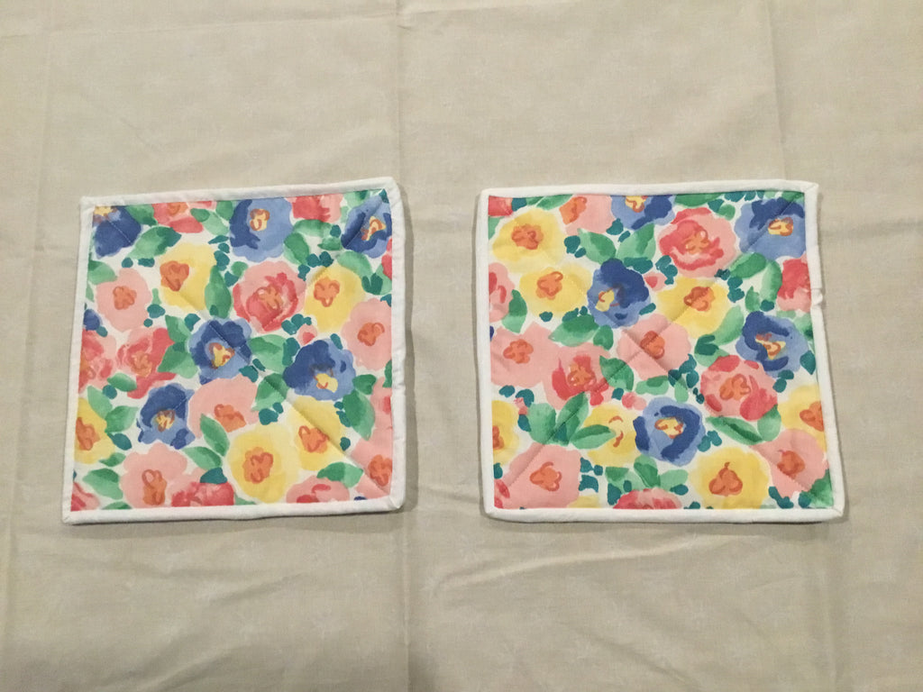 Pair of Potholders