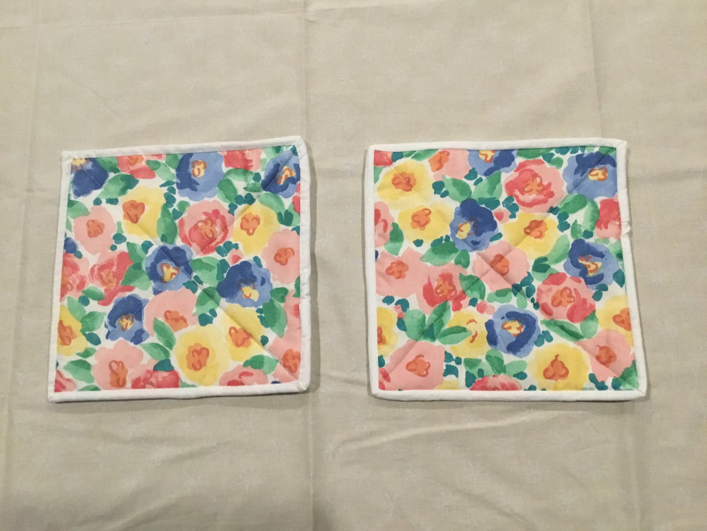 Pair of Potholders