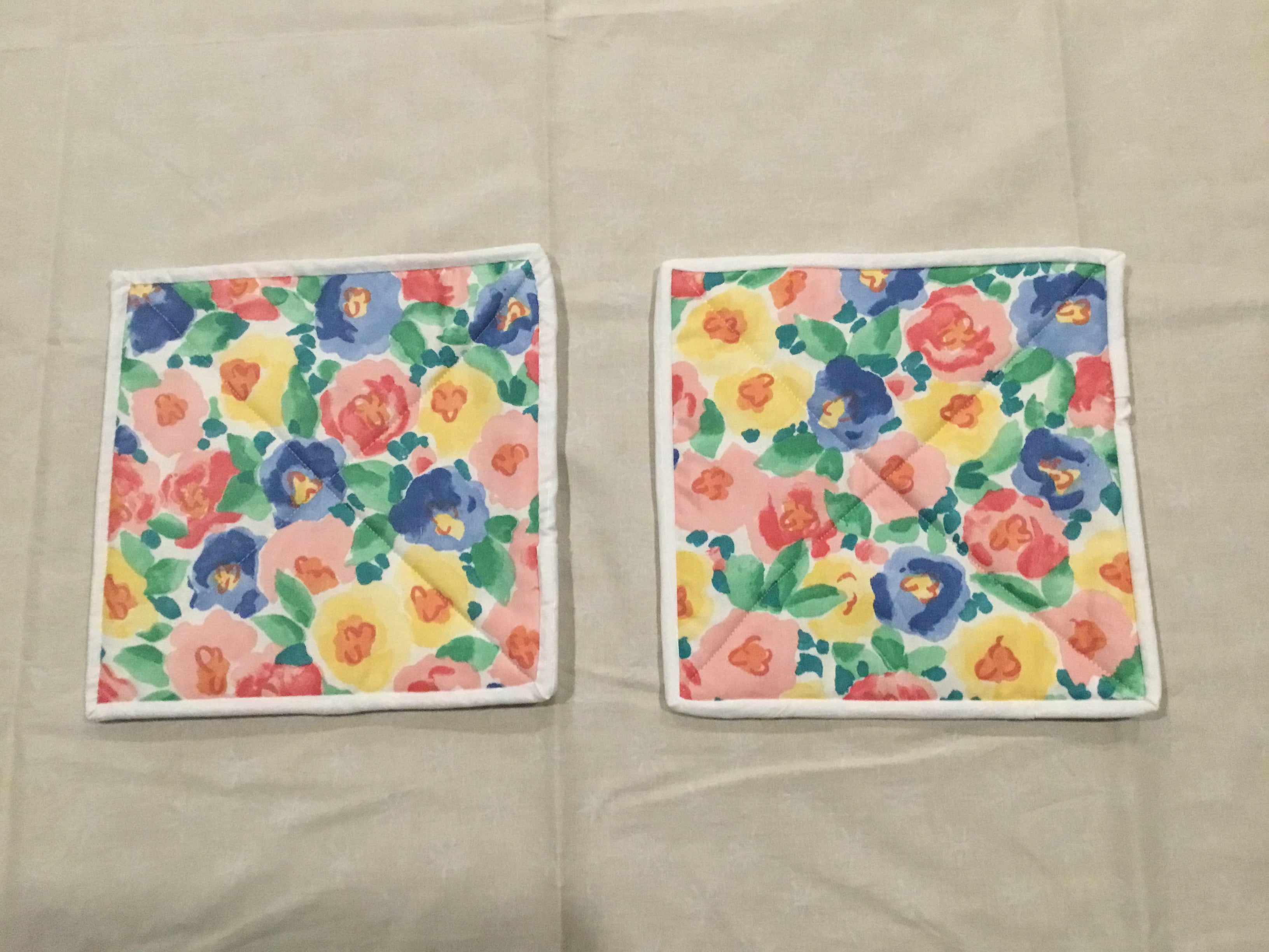 Pair of Potholders