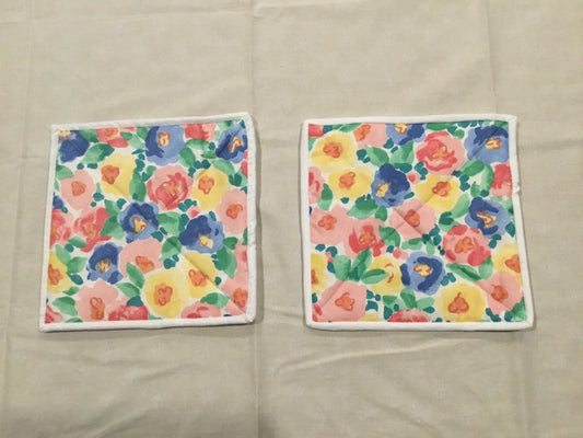 Pair of Potholders