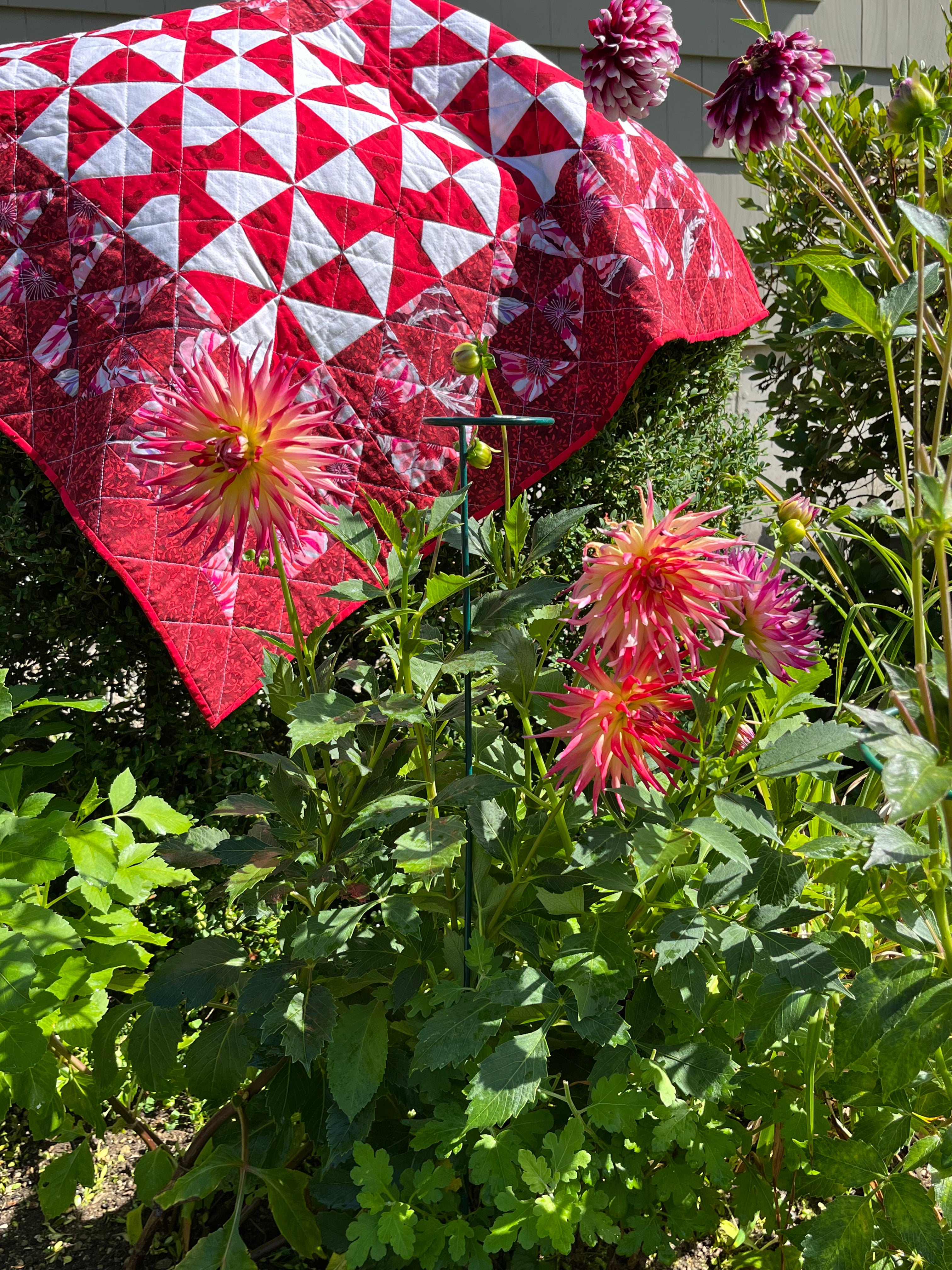 Red Pinwheel Quilt